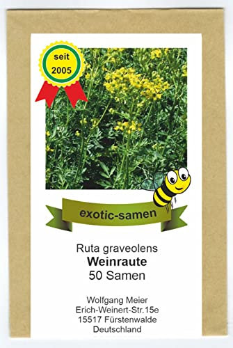Weinraute - Ruta graveolens - 50 Samen
