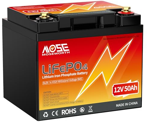 Lifepo4 Akku 12V 50Ah, 640Wh Lithium Batterie Wohnmobil, In Reihe 50A BMS Sicherheit & Leichtgewicht für Wohnmobil, Boot, Trolling Motor, Camping oder Solaranlage