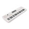VISIONKEY-2 Portable 49-Key MIDI Keyboard - Mini Electric Piano Keyboard for Kids & Beginners, USB-C