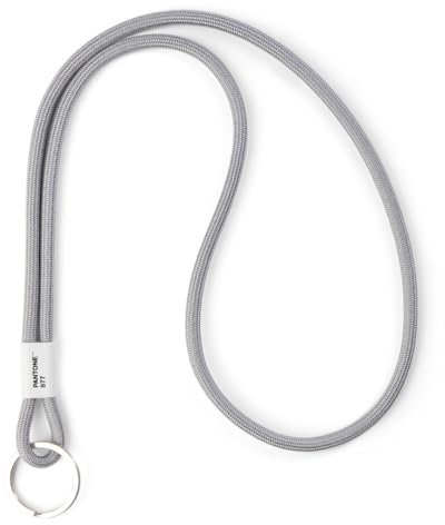 Pantone Design-Schlüsselband Key Chain Long | Schlüsselanhänger robust und Farbenfroh | lang | Silver 877 | Silber