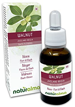 Walnut ou Noyer (Juglans regia) Fleurs de Bach Naturalma - Gouttes 30 ml - Extrait liquide sans alcool - Essences florales - Vegan et sans alcool