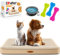 Lovpet® Hundebett orthopädisches Hundekissen Hundekorb Cookie, Inkl. Napf + 3X Kauknochen, Hundesofa für Kleine, Mittelgroße & Große Hunde, Bezug abnehmbar und waschbar, XL 11 x81x7,6cm Beige