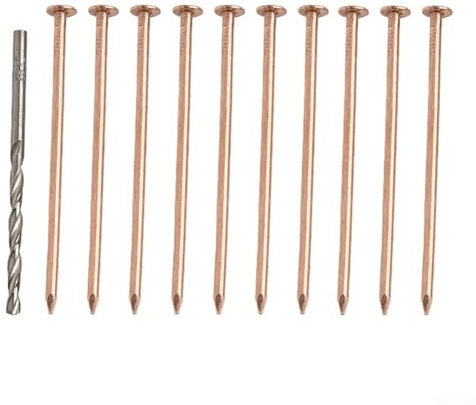 Kupfer-Baumkiller-Nägel, 8,9 cm, Stumpfentfernungsspikes zum Töten von Bäumen und Wurzeln, 10 Stück, reine Kupfernägel mit Bohrer zur Entfernung von Baumstumpfen