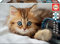 Educa 17154, Kätzchen, 200 Teile Puzzle für Erwachsene und Kinder ab 6 Jahren, Katze, Tierpuzzle