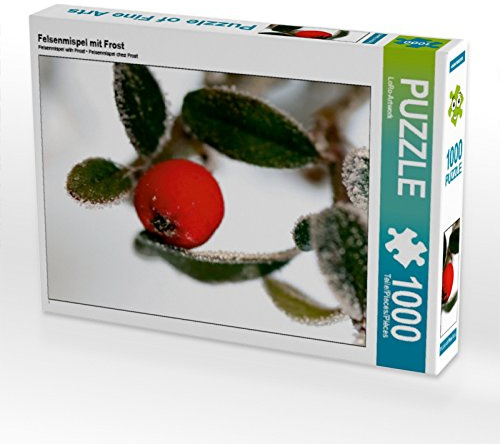 CALVENDO Puzzle Felsenmispel mit Frost 1000 Teile Puzzle quer | Lege-Größe cm Foto-Puzzle für glückliche Stunden