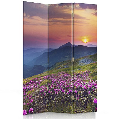 Feeby Frames. Raumteiler, Ggedruckten auf Canvas, Leinwand Wandschirme, dekorative Trennwand, Paravent beidseitig, 3 teilig (110x150 cm), ANSICHT, LICHTUNG, BERGEN, BLUMEN, SONNENUNTERGANG, MULTICOLOR