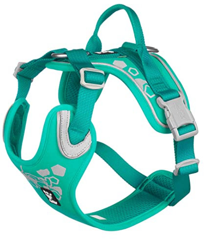 Hurtta Weekend Warrior Hundegeschirr kleine Hunde Pfau türkis 40-45 cm