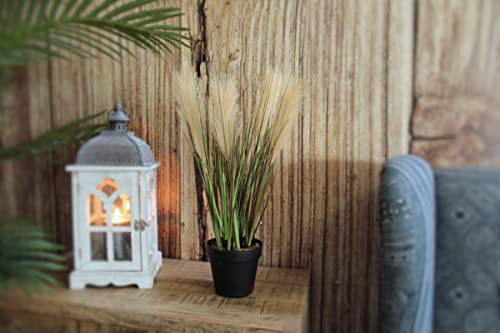 DARO DEKO Kunstpflanze Pampasgras im schwarzen Topf 20 x 52cm Kunstgras Pampas-Gräser Boho flauschig