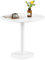 anrekl mid Century modern runder esstisch couchtisch Kleiner esstisch für küche, esszimmer Wohnzimmer Schlafzimmer büro Cafe minimalistischer Kleiner esstisch, weiß