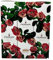 Ferrari by Seletti 3 bottiglie di Ferrari Trento DOC in Cofanetto Limited Edition firmato Seletti (Rose)