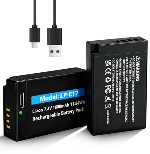 OHZHAO 2er-Pack LP-E17 Typ C Ladegerät Port 1600mAh Langlebiger Akku für Canon Rebel SL2, T6i, T6s, T7i, EOS R10, R8, RP, R50, R100, M3, M5, M6, EOS 200D, 250D, 77D, 750D, 760D