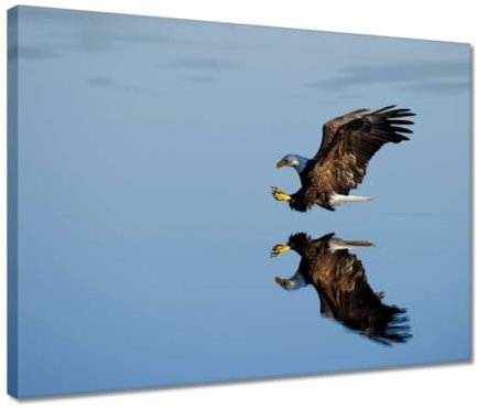 Gemälde gedruckt auf Leinwand Wandkunst Dekor 40x30cm Jagd Adler Nr. H6443M_PC1A