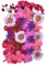 Fleurs Séchées Pressées Naturelles pour Scrapbooking Artisanat Pressé Fleur Décoratives Mixtes Cinq Styles pour Bricolage Art Décorations Florales Décors (Violet)