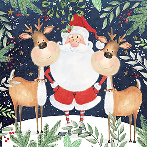 Anniversary House Tiflair Luxus-Weihnachtsservietten, Weihnachtsmann und lustiges Rentier-Design, dicke und starke Papierservietten, 3-lagig, mehrfarbig PJ303550