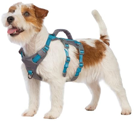 Huntboo Sicherheitsgeschirr Hund Ausbruchsicher, Panikgeschirr für Hunde, Reflektierendes Geschirr Hund mit Griff, Verstellbare Hundegeschirr für kleine, mittelgroße und große Hunde (Blaugrün,XS)