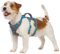 Huntboo Sicherheitsgeschirr Hund Ausbruchsicher, Panikgeschirr für Hunde, Reflektierendes Geschirr Hund mit Griff, Verstellbare Hundegeschirr für kleine, mittelgroße und große Hunde (Blaugrün,XS)