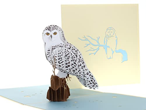 iGifts And Cards 3D-Pop-Up-Grußkarte mit magischer Eule, Tier, Zoo, süßer Vogel, nächtlich, Spaß, Abschluss, Happy Birthday, Just Because, Liebe, Freundschaft, Dankeschön, besondere Anlässe, BFF, Miss