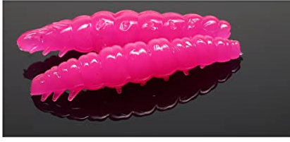 Libra Lures Larva 35 3,5cm Käse Hot Pink 019 5908291083939 Bienenmade zum auftreibenden Angeln Forellenangeln mit 12 Stück