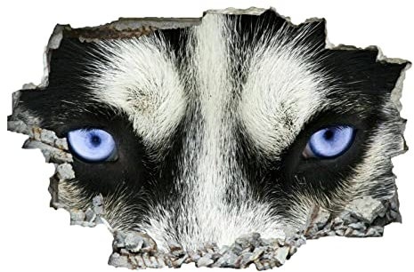 Wolf 3D Wandtattoos Durchbruch Wandbild Tier Selbstklebend Kinderzimmer Aufkleber Wandaufkleber Augen Abnehmbare Wandsticker für Kinderzimmer Junge Mädchen Teenager Zimmer Wohnzimmer Schlafzimmer