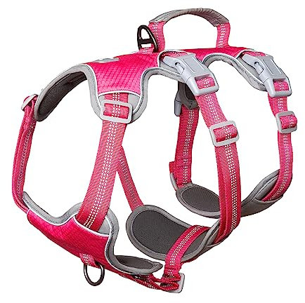 Huntboo Hundegeschirr, Geschirr Hund, Vollständig Reflektierendes Geschirr mit Gepolstertem Griff, Wasserdicht, Verstellbare Weste für Lroße Hunde, die Spazieren Gehen, Rennen (Rosenrot, L)
