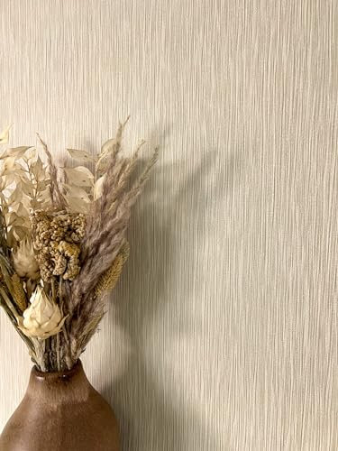 Newroom Tapete Beige Vliestapete Unifarbe - Universal Modern Creme Glitzer Struktur Monochrom Einfarbig Uni Linien Glanz inkl. Tapezier-Ratgeber