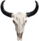 HOMSFOU Cow Skull Wall Plaque Art Bull Head Skull Wall Hanging 3D Realistic Cow Skull Statue Realistic Faux Cow Skull Design Sculpture