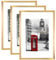 Scholar Tree Gold Photo Frame Picture Frames, A3 with Mat for A4 Mount Picture, Set of 3, Wall Mountable