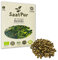 Koriander BIO Keimsprossen von SaatPur - Sprossen, Microgreen - 50g