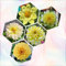 10 pcs dahlien knollen mischung, dahlien zwiebeln, pflanzen geschenk frühlingsblumen zwiebeln dahlia dalienknollen winterhart blumenzwiebeln sommerblüher topfpflanzen für draußen winterharte
