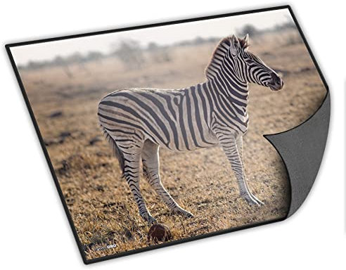 itenga Schreibtischunterlage mit Tiermotiv abwischbar rutschfest glatt 40x53cm Kunststoff Schreibunterlage (Motiv Zebra)