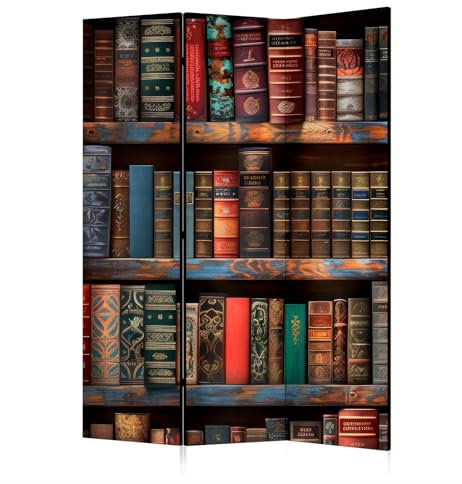 framed concept - Paravent Raumteiler Holz 135x172 cm, 3-teilig beidseitig, Sichtschutzwand