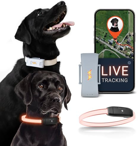 PAJ GPS - LED Leuchthalsband + GPS Tracker für Hunde, doppelte Sicherheit, weltweite Live-Ortung + Sichtbarkeit bei Nacht, Mini GPS-Tracker 4G für Hunde, Weglaufalarm, 100% wasserdicht, Grau