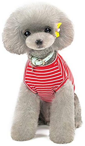 Pet Heroic Niedlicher Gestreifter Haustier Pullover Katze Pulli Kleine Hunde Pullover Kleiner Hund Pullover Welpe Pullover Hunde Klamotten Für Kleine Hunde Pink Rot Blau Grau - Gewicht 1.2-9.0 KG