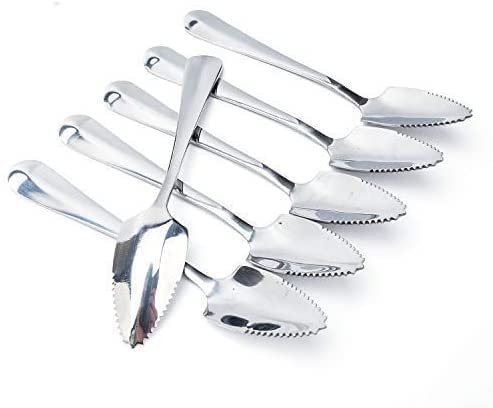 xingzhi 6 cucchiaini per pompelmo, 15,5 cm, in acciaio inox