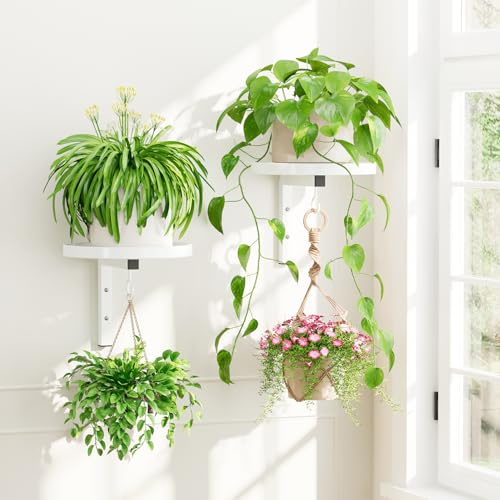 iDavosic.ly Wand Pflanzenhalter Set aus 2 Stück, Metall Blumenständer mit 2 Haken, Wandmontage Blumenregal für Fenster, Platzsparend & Einfach zu Montieren, Weiß (Ohne Töpfe/Ketten/Pflanzen)