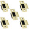 Strike Plate Polished Brass Latch Door Frame + Dust Box + Matching Screws (5)