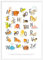 kizibi® ABC Poster DIN A2 mit Rahmen Weiß für Kinderzimmer, Alphabet Poster für Mädchen und Jungen, Buchstaben zum Lernen, Tier Lernposter mit Buchstaben auf deutsch | Vorschule oder Grundschule