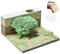 2024 Kalender Memo Pad 3D Memo Pad mit Display Hülle Baumform Dekorative 3D -Notepad Büro Wohnzimmer Schreibtisch Geschenk für Kollegen Freund, Green
