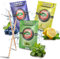 Stoxser 450x Zahnstocher mit Geschmack 3er Pack Blaubeere und Zitrone/Lemon und Mint/Menthol Geschmacksrevolution Zahnstocher Geschmack Kein Kaugummi Unterstützend zu Zahnpasta Zahnseide Zuckerfrei