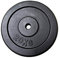 Fit4Home Cast Iron Weight Plates 1 x 20kg Strength Training Plates for Dumbbells & Barbells Weightlifting Fitness Workout Disk Wheel Home Gym Equipment (Black)