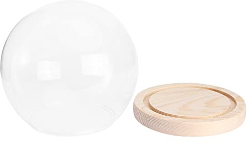 Cabilock 1 Set Deko Glasglocke mit Teller Holz Kuchenständer Glaskuppel Käseglocke Glas Kuppel Glocke Cloche Torten Glashaube Kuchenglocke für Sukkulenten Feengarten Lichterkette Foto Medaillen