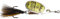 Effzett Standard Spinner Dressed 12g #5 Reflex Gold