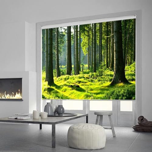 Rollos für Fenster Ohne Bohren Grüne Natürliche Waldmuster Roller Jalousien für Fenster, 100% Blackout Dunkle Jalousien für Schlafzimmer, 60/70/80/90/100/110/120/130/140 cm Breite ( Size : 100cmx160cm