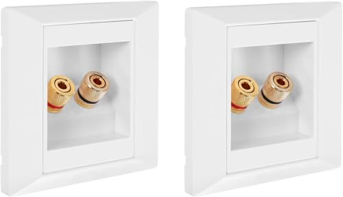Aboiledy 2 Pcs Wall Socket with 2 Jack Speaker Ports, Multimedia Speaker Boxes Wall Socket Wall Plate with Banana Plug Sockets, Gold Plated Connectors, Banana Plug Speaker Wall Plate