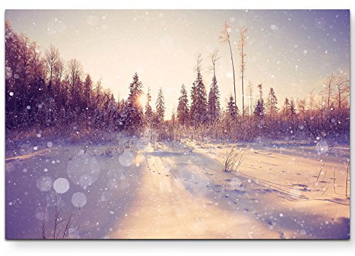 Paul Sinus Art Leinwandbilder | Bilder Leinwand 120x80cm Winterlandschaft