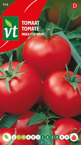 Tomaten Paola F1 Hybrid - Gemüsesamen