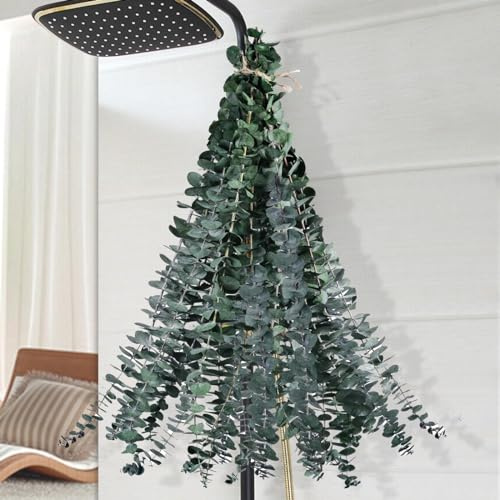 12PCS Dried Eucalyptus for Shower Hanging Real Preserved Eucalyptus Stems