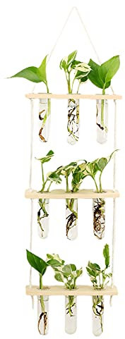 Blanketswarm Terrarium Mural à Suspendre avec Support en Bois, Station de Propagation de Plantes à 3 Niveaux, Pot à essai en Verre, Vase à Fleurs pour Plantes hydroponiques décoration d'intérieur