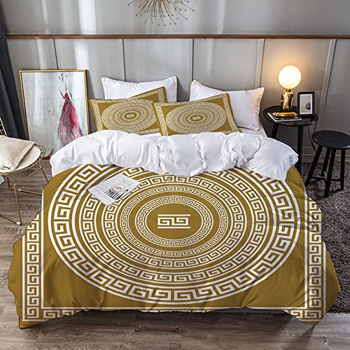 URSOPET Bettwäsche-Set,Mikrofaser,Fries mit Vintage Ornament Mäandermuster aus Griechenland Retro Twist Lines Fang Staub Schnee und Schlamm,1 Bettbezug 200 x 200 cm + 2 Kopfkissenbezug 80x80cm