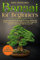 Bonsai for Beginners: Secret Tips and Techniques to Grow, Shape and Care for Your Bonsai - Nurture your Hobby for Lasting Inner Peace and Relaxation (English Edition)
